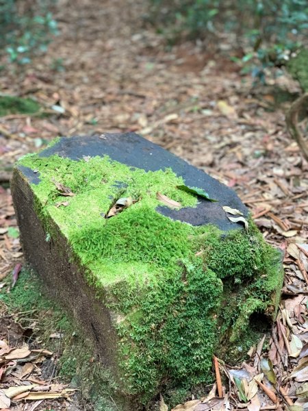 2021.03.14 「水社大山 」1307256