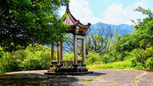 水返腳的青苔記憶3082846