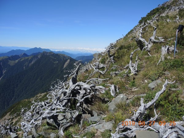 20190826-雪山主東峰+翠池