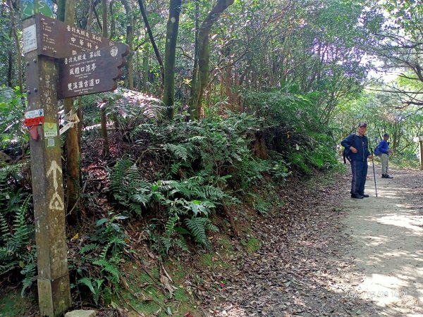 【臺北大縱走4】風櫃嘴→雙溪溝古道→五指山古道→大崙頭山北面步道→許願步道→圓覺寺步道→大溝溪→大湖2469095