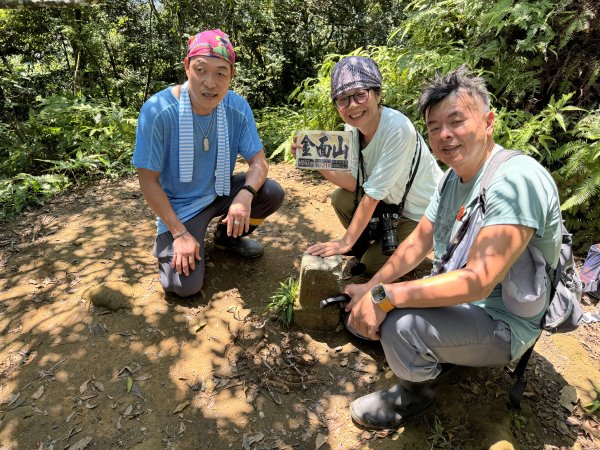 重棒回歸 大溪小百岳 :  2024 D0901 山麻坑山 ➙ 金面山➙ 金山面山