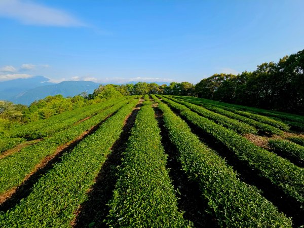 太麻里山-小百岳#94-台東縣金峰鄉2777883
