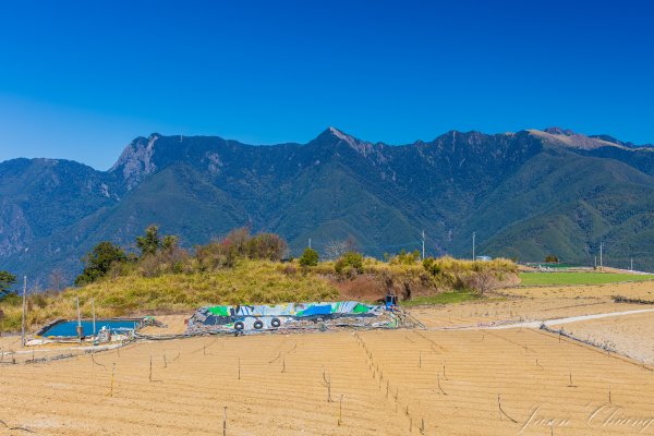 福壽山千櫻園櫻花盛開2724935