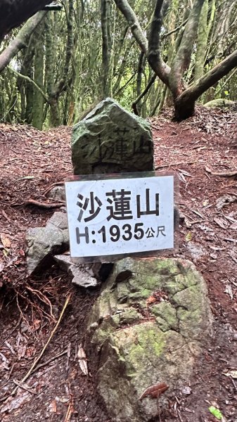 橫沙笛O繞2824593