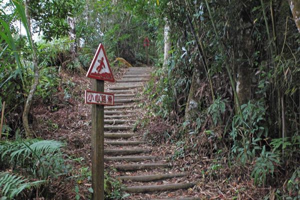 馬那邦山(珠湖線來回)375020