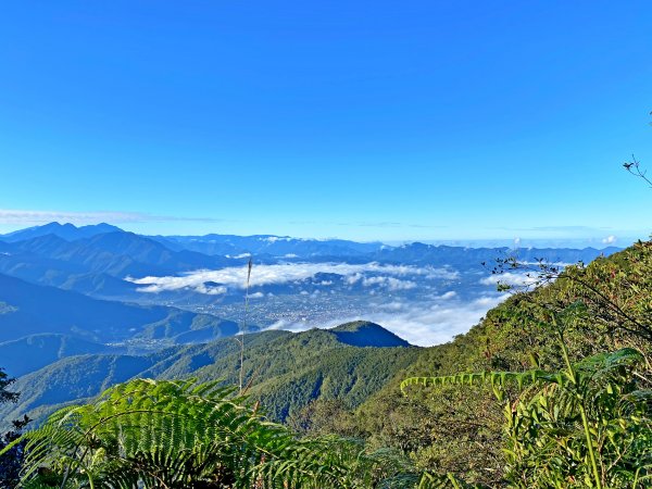 再訪關刀山西峰、主峰順撿西關刀山北峰  1165177