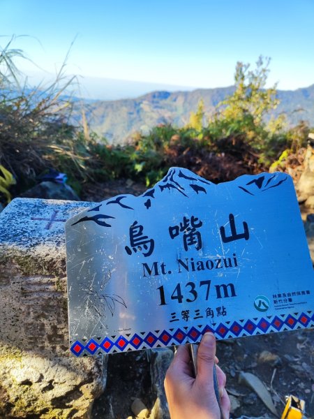 泰安鳥嘴山（上島）2689344