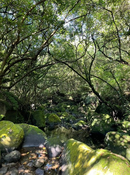 竹篙山山腰古道2204063