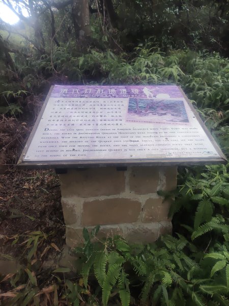 金面山親山步道2664158