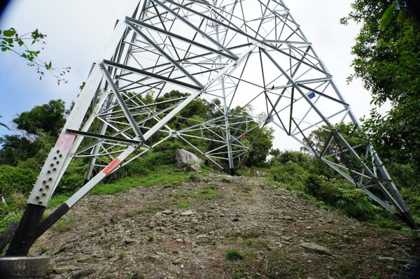 宜蘭 南澳 澳花山2881290