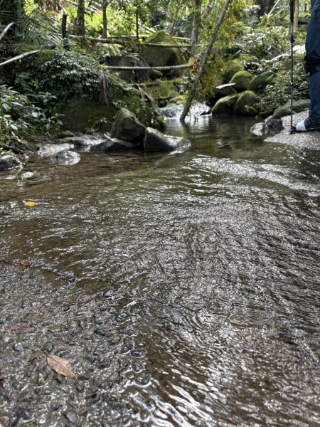 20250830台南關仔嶺大凍山步道2914684