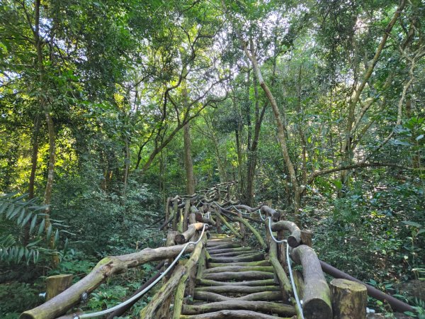 大坑一號、大坑五號（小百岳）2656492