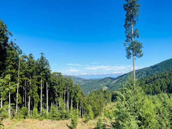 1141116油羅山2946414