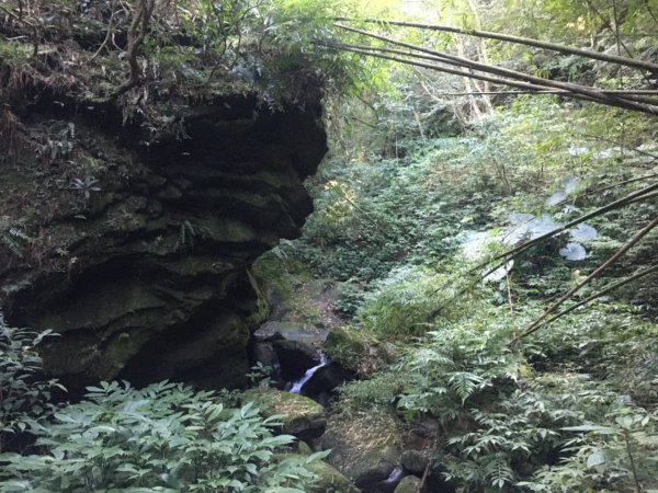 六寮崙山、雞罩山、白雞山8字走2371106