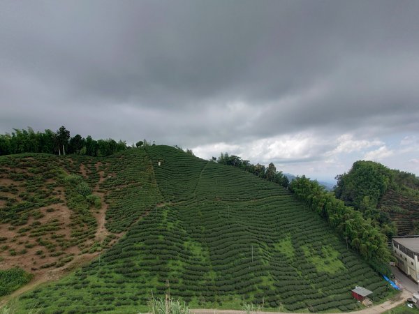 竹山大鞍大崙山2208179