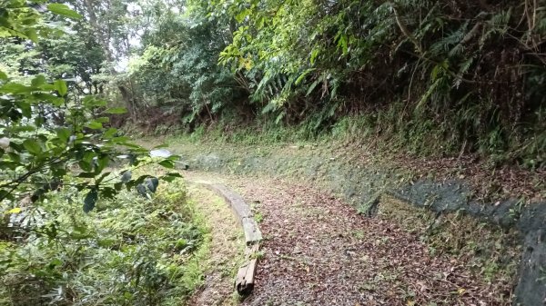 雙溪區嶺頭觀日步道-西九份坑山-西九份坑山前峰-雙溪車站3063083