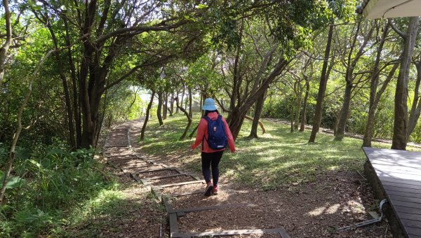 (姨婆趴趴走)第三十一集:新北金山獅頭山公園、神秘海岸、老街縱走2340223