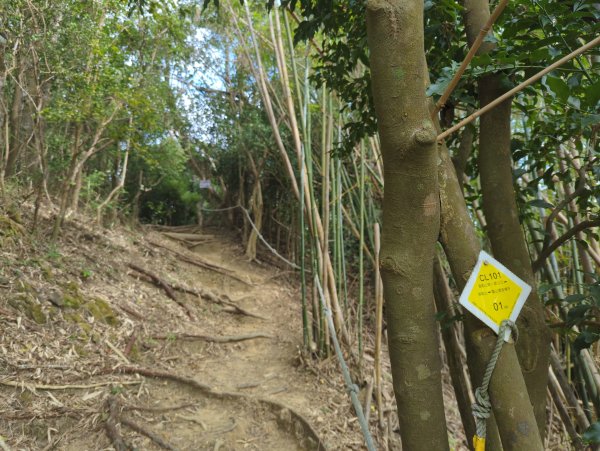 2024.12.21－旗尾山步道2677409