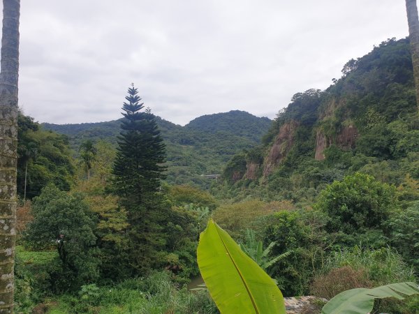 臺北大縱走第六段1516071