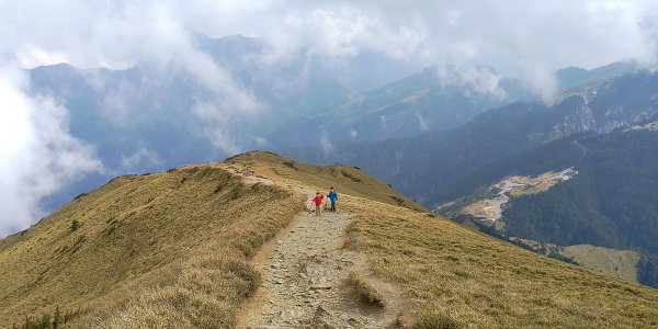 帶孩子來去合歡山看世界級景色  親子爬合歡主東北峰記