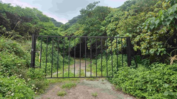 2025050151梗枋山-橋板湖山2774848