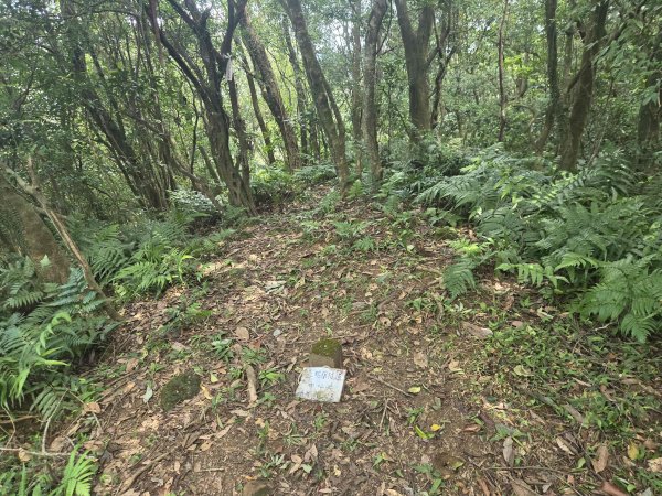 20260722復興坑礦口-三貂嶺中心點3098366