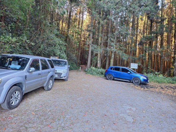 石山+阿毛神木202512112961777