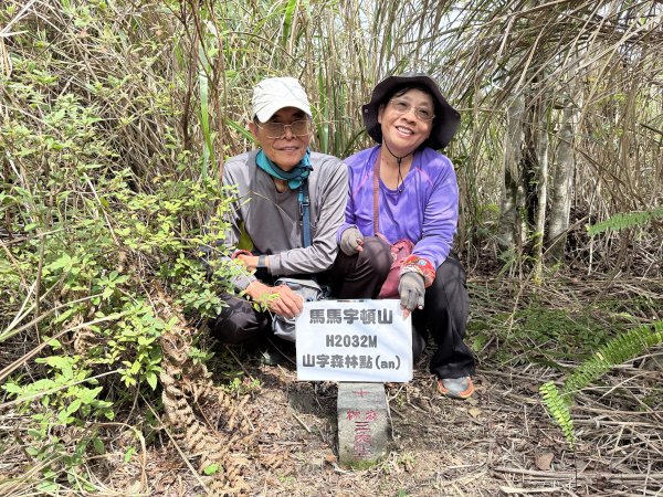 完登新南橫三星-馬馬宇頓山   2026.3.273027511