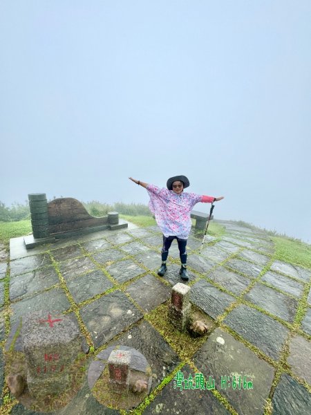 灣坑頭山(小百岳#82)2884265