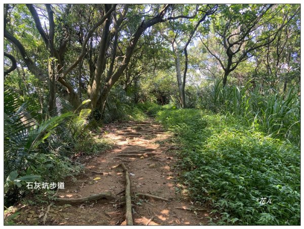 中坑山．石灰坑山．望湖山 連走2812974
