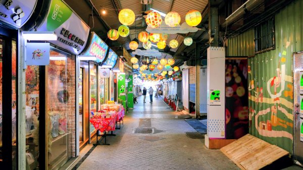 落羽松大道,龍潭大池2976221