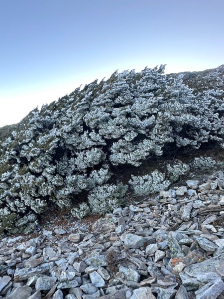 2024/12/20~12/22 帶76歲爸爸補考被山陀兒颱風趕下山~未竟的南玉山，2024完成玉山2675146