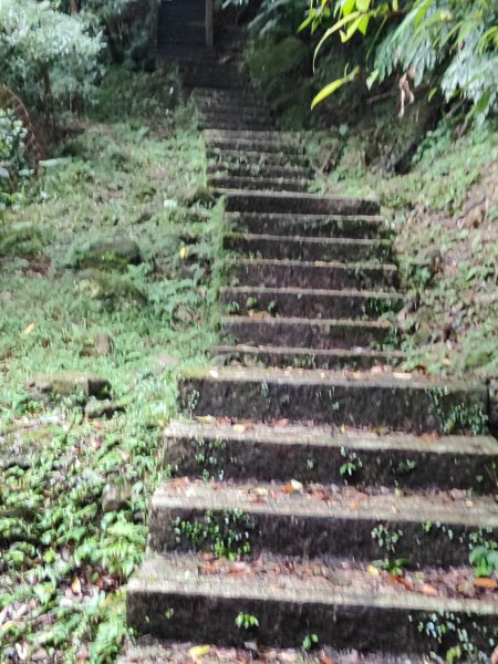 微笑山線：【二格山系】皇帝殿稜線段2955968