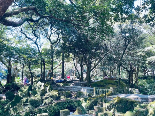 20261009 菁苗步道（苗圃登山口-菁山自然中心-前山公園）3133910