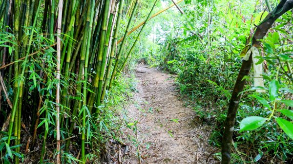 石笋古道,焿子寮古道,松子嶺古道2798323