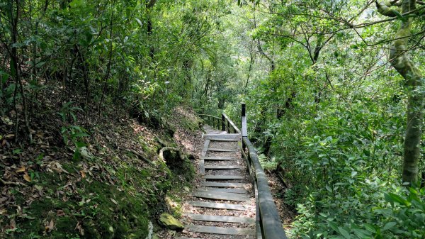 福山部落,內洞森遊區2552459