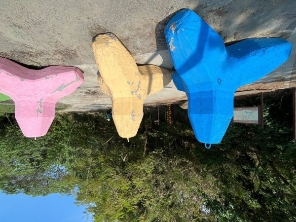 20230503__三汀山+阿罩霧山（台中小百岳）2762363