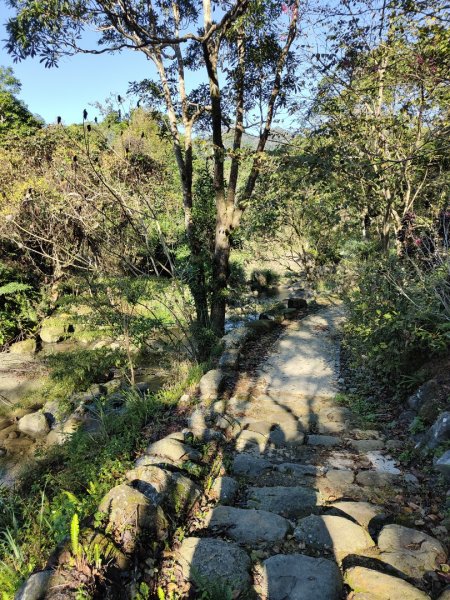 2024.02.12 高遶溪古圳步道2844441