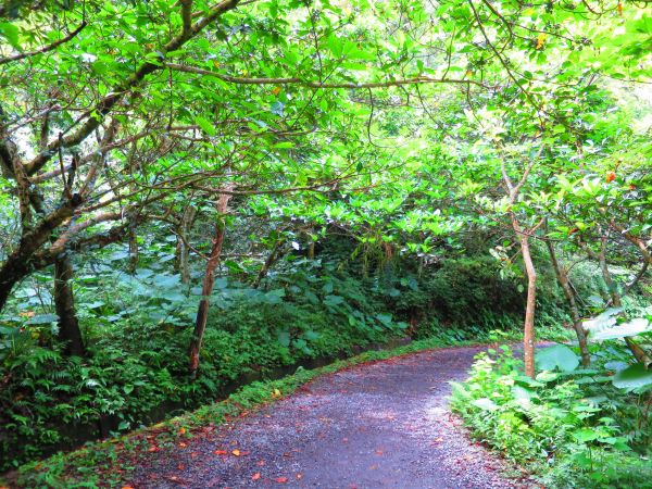 【宜蘭礁溪】清涼一夏：林美石磐步道389872