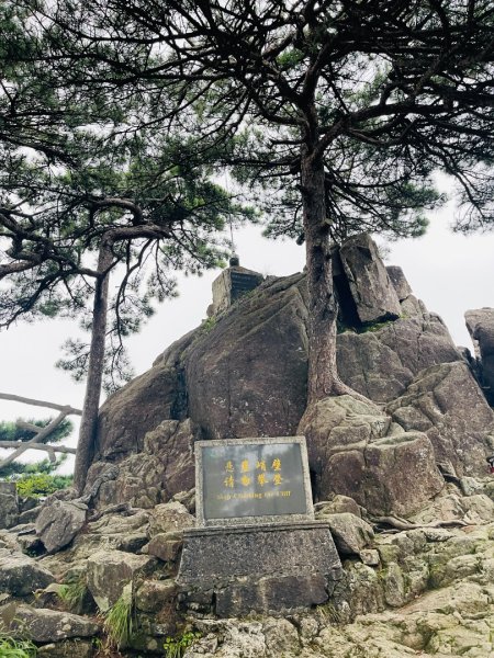 1140915-17安徽省黃山2891394