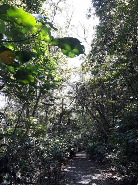 彰化芬園挑水古道碧山古道20190630620229