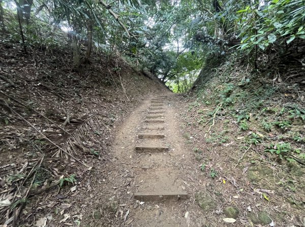 [微笑山線_第一段] 2025_0720 大棟山系_青龍嶺2843480