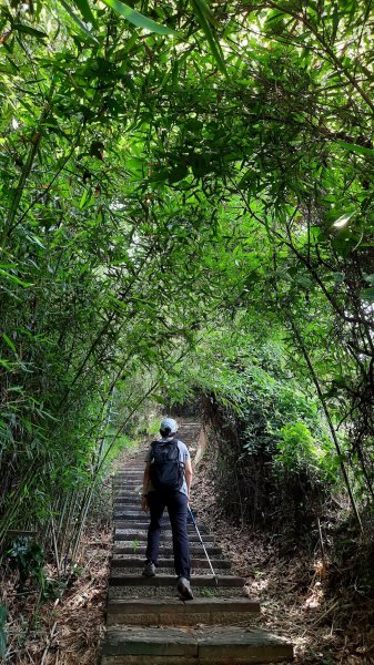 《台中》貓仔坑｜后里鳳凰山觀音山步道O繞202305282164555