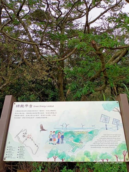 大安森林公園、桃園楊梅秀才登山步道走春趣2442014