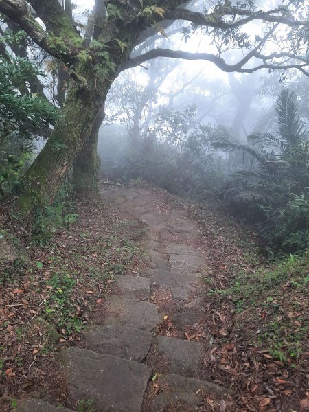 20230709 中正山縱走面天向天山，冰泰酥朵頤2211932