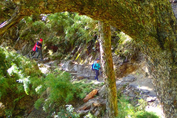 登峰造極--2018玉山主峰532504