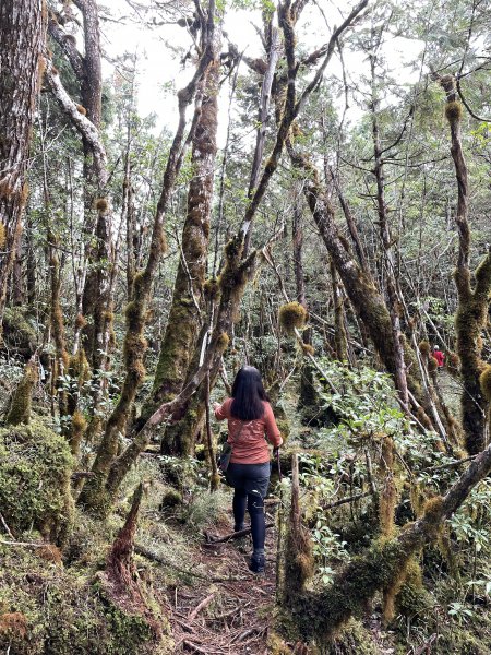 魔幻森林三星山與三星池1658331