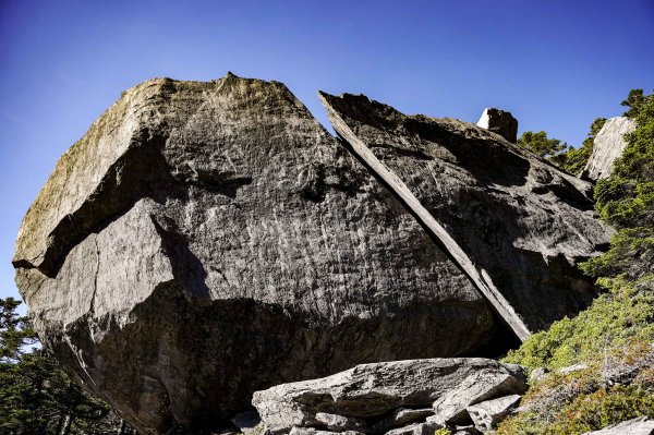 帝王之座-南湖主峰線｜南湖大山＋南湖南峰＋巴巴山2884956
