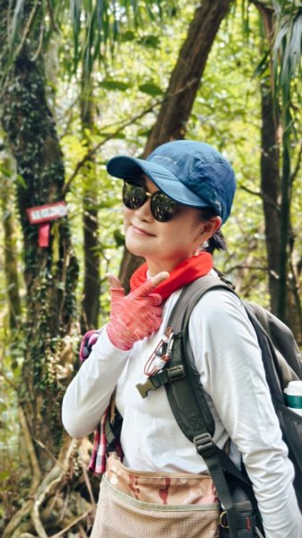 東勢大崙、東勢坑山、觀音湖山O走2986289