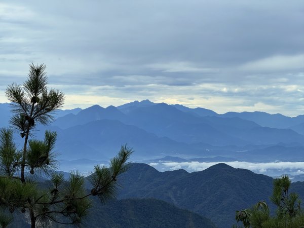 鳶嘴山+稍來神木 202508302873852